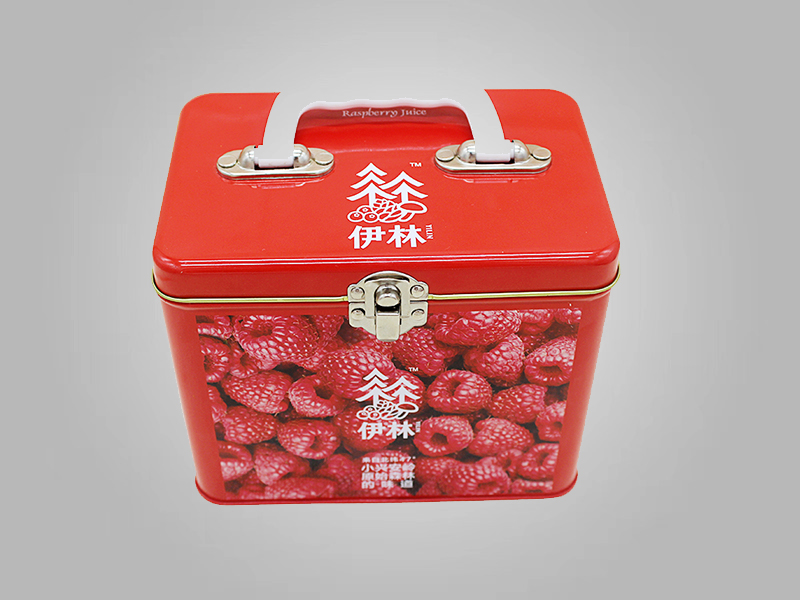 160*110*130mm馬口鐵長(zhǎng)方形食品包裝手提罐 手提鐵盒收納儲(chǔ)物包裝