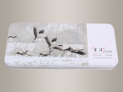 紀念品包裝鐵盒,金屬禮品盒192*90*21mm